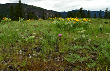 Healthy Productive Ecosystems - enhanced productivity